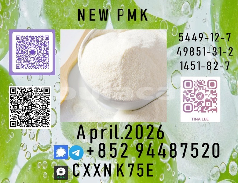 Big with watermark p51