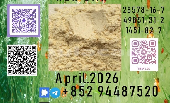 Acheter reliable quality p.m.k à Komave, Western Acheter reliable quality p.m.k à Komave, Western