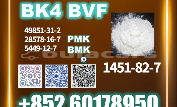 Medium with watermark bk4 2b4m cas 1451 82 7 stable quality