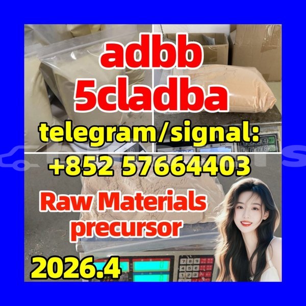 Big with watermark 53