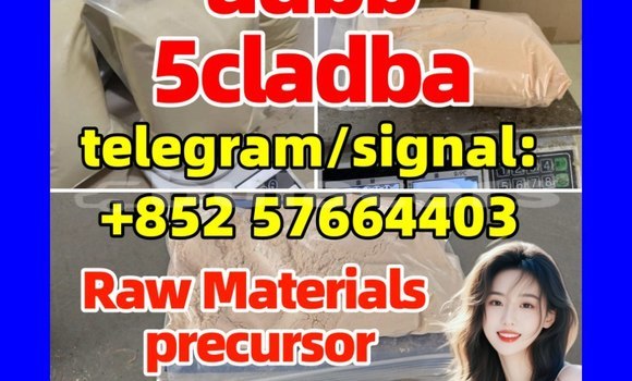 Medium with watermark 53