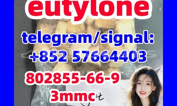 Medium with watermark e5