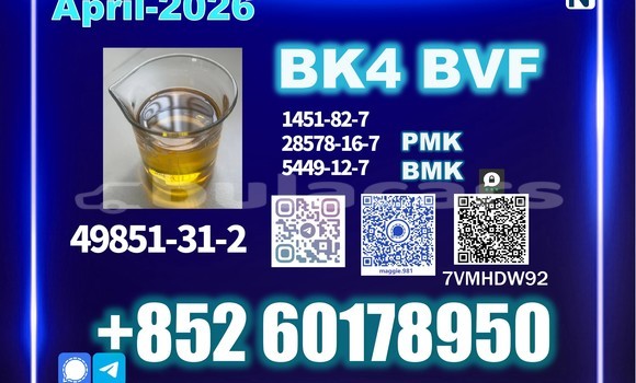 Medium with watermark bvf bk4 cas 49851 31 2 top factory