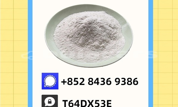 Buy Used Austin Kimberley Blue Car in Import - Dubai in Central