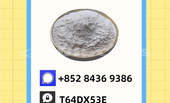 Buy Used Austin Kimberley Green Car in Komave in Western