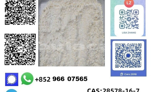 Acheter Neuf Voiture Alfa Romeo 146 Bleu à Deuba, Central Acheter Neuf Voiture Alfa Romeo 146 Bleu à Deuba, Central