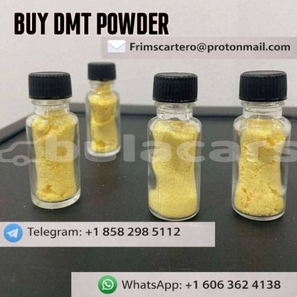 Big with watermark supllier dmt