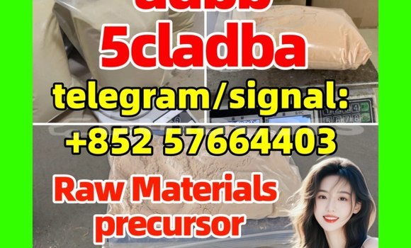 Medium with watermark 51