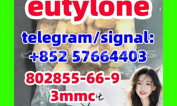 Medium with watermark e1