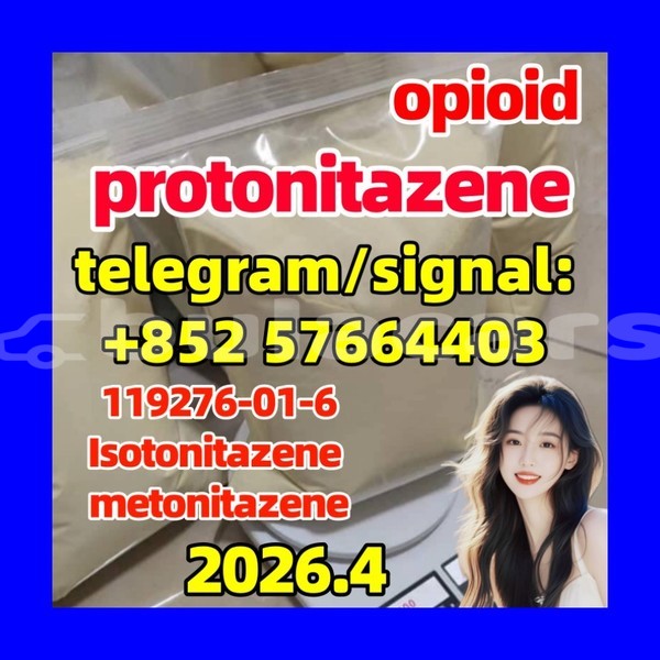 Big with watermark pro1