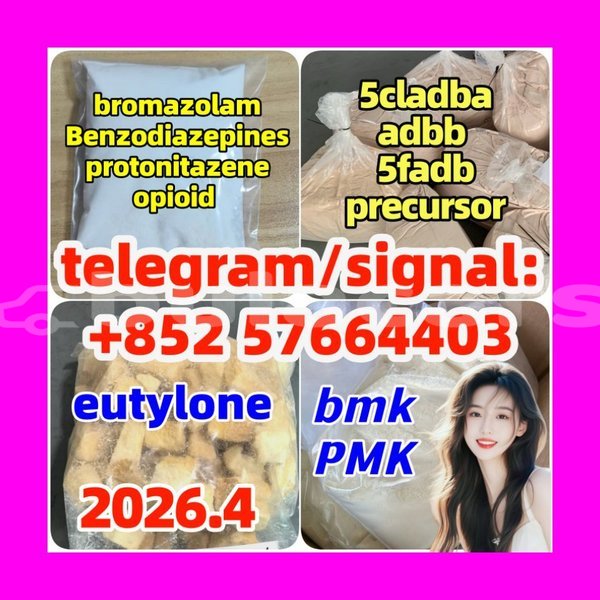 Big with watermark z1