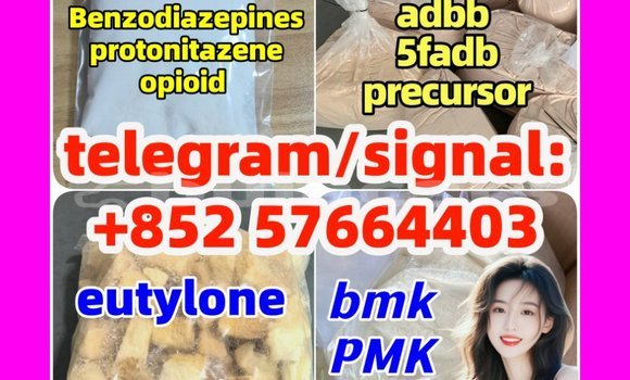 Medium with watermark z1