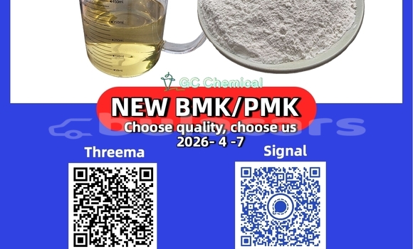 Buy Used Alfa Romeo 146 Green Car in Viseisei in Western Buy Used Alfa Romeo 146 Green Car in Viseisei in Western