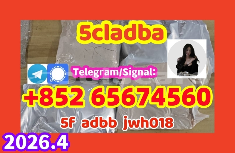 Big with watermark 5cl %e5%89%af%e6%9c%ac