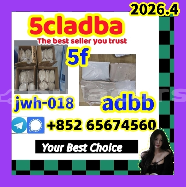 Big with watermark 5clad13 %e5%89%af%e6%9c%ac