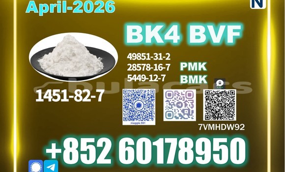 Medium with watermark bk4 2b4m cas 1451 82 7 customs clearance