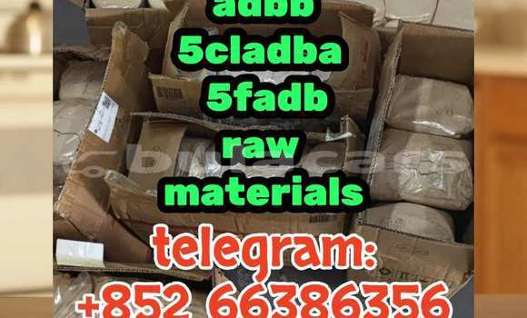 Medium with watermark 1