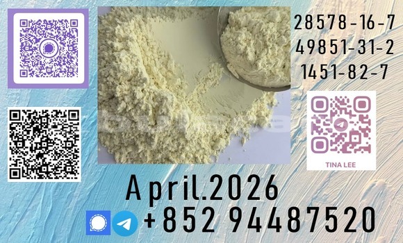 Medium with watermark b1