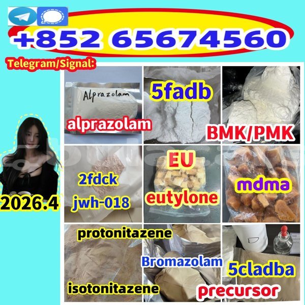 Big with watermark %e6%89%80%e6%9c%89%e6%9c%80%e6%96%b0 %e5%89%af%e6%9c%ac565