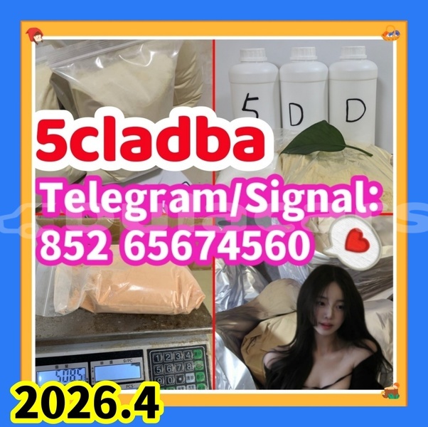 Big with watermark 5cldsgsfgreg %e5%89%af%e6%9c%ac