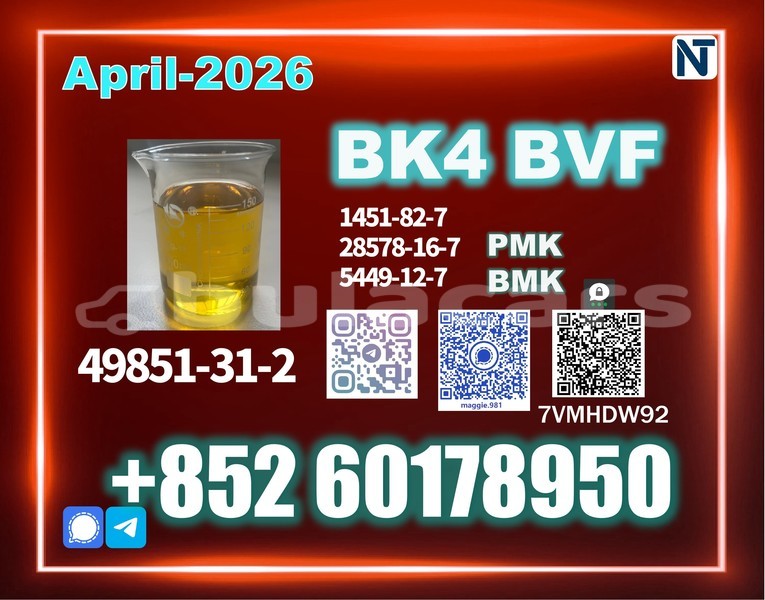 Big with watermark bvf bk4 cas 49851 31 2 long term