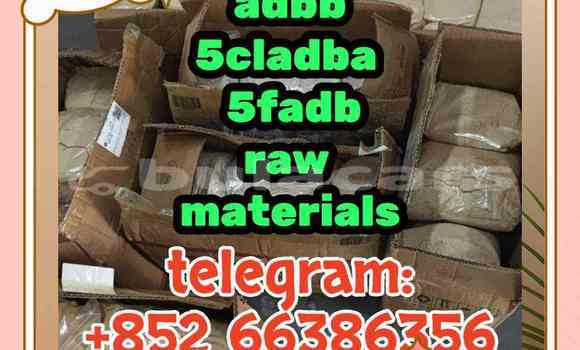 Medium with watermark 2