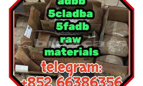 Medium with watermark 3