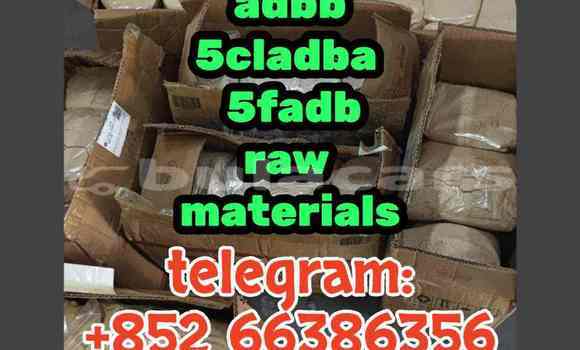 Medium with watermark 7