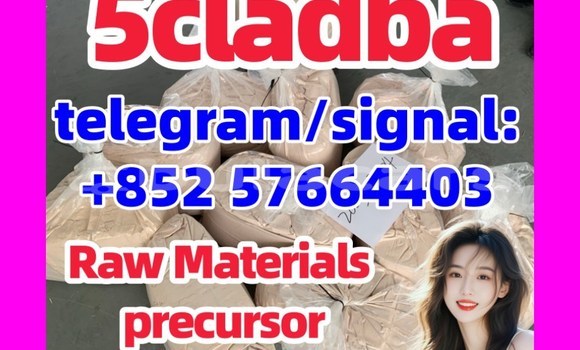 Medium with watermark 553