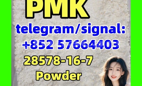 Medium with watermark p3