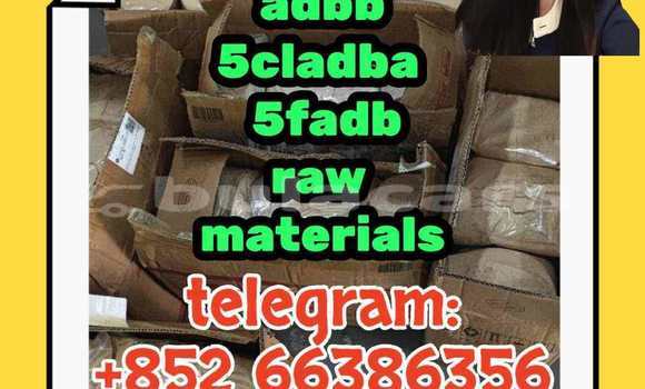 Medium with watermark 1