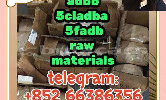 Medium with watermark 2