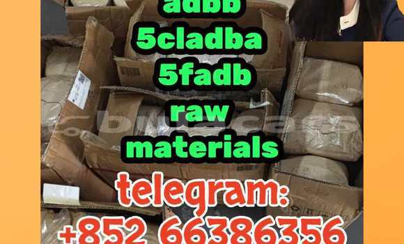 Medium with watermark 4