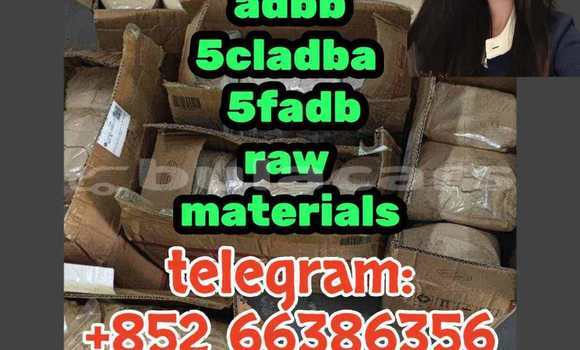 Medium with watermark 7