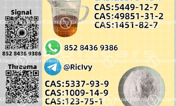 Buy Used CHTC PICK UP Blue Car in Import - Dubai in Central