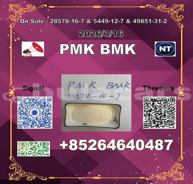 Big with watermark 2026 03 18 110555