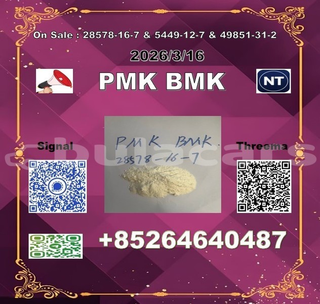 Big with watermark 2026 03 18 110703 %e5%89%af%e6%9c%ac 3 