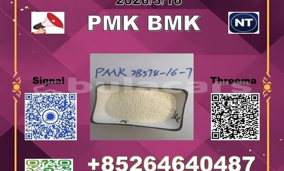 Medium with watermark 2026 03 18 110612 %e5%89%af%e6%9c%ac 3 