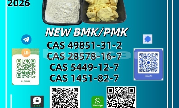 Best Price CAS 49851-31-2