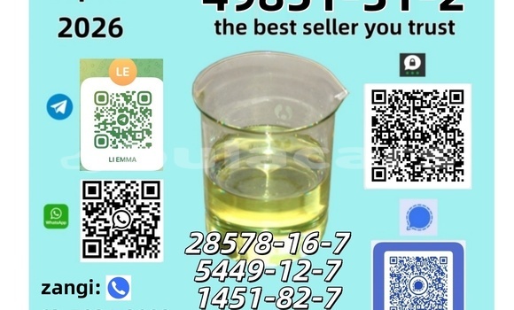  BMK/PMK CAS: 28578-16-7