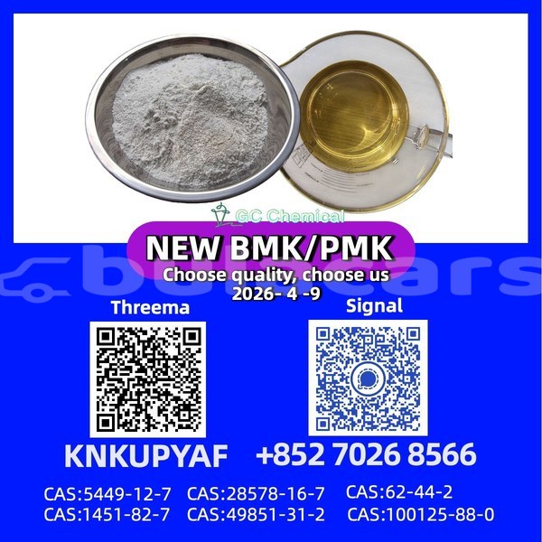 Big with watermark bristol blenheim speedster western komave 13429