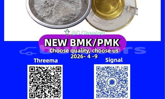 Buy Used Bristol Blenheim Speedster Black Car in Komave in Western