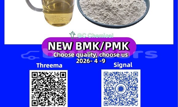 Buy Used Bertone Freeclimber Black Car in Nacula Village in Western