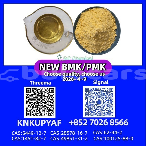 Big with watermark adler diplomat western rakiraki 13433