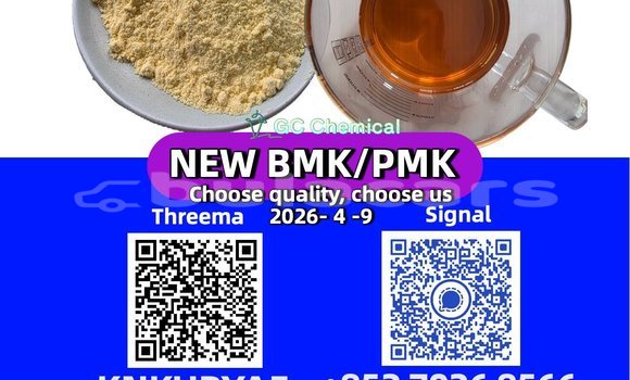 Buy Used AMC Hornet Brown Car in Import - Dubai in Central