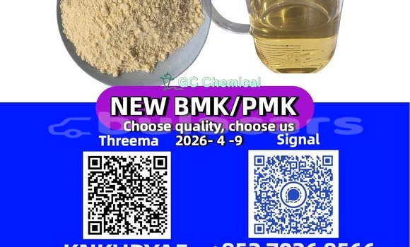 Buy Used Bertone Freeclimber Blue Car in Namalata in Northern