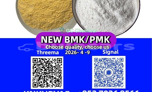 Acheter Occasion Voiture Acura CSX Vert à Rakiraki, Western Acheter Occasion Voiture Acura CSX Vert à Rakiraki, Western