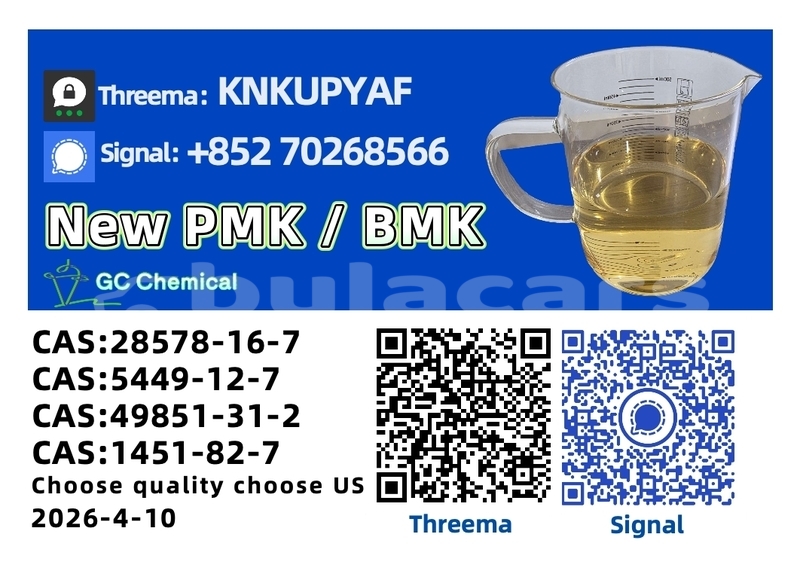 Big with watermark adler diplomat central import dubai 13442