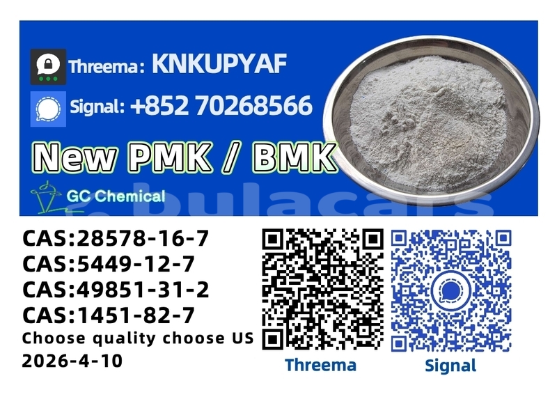 Big with watermark coggiola t rex western volivoli 13445