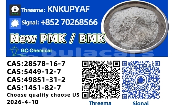 Buy Used Coggiola T Rex Black Car in Volivoli in Western Buy Used Coggiola T Rex Black Car in Volivoli in Western